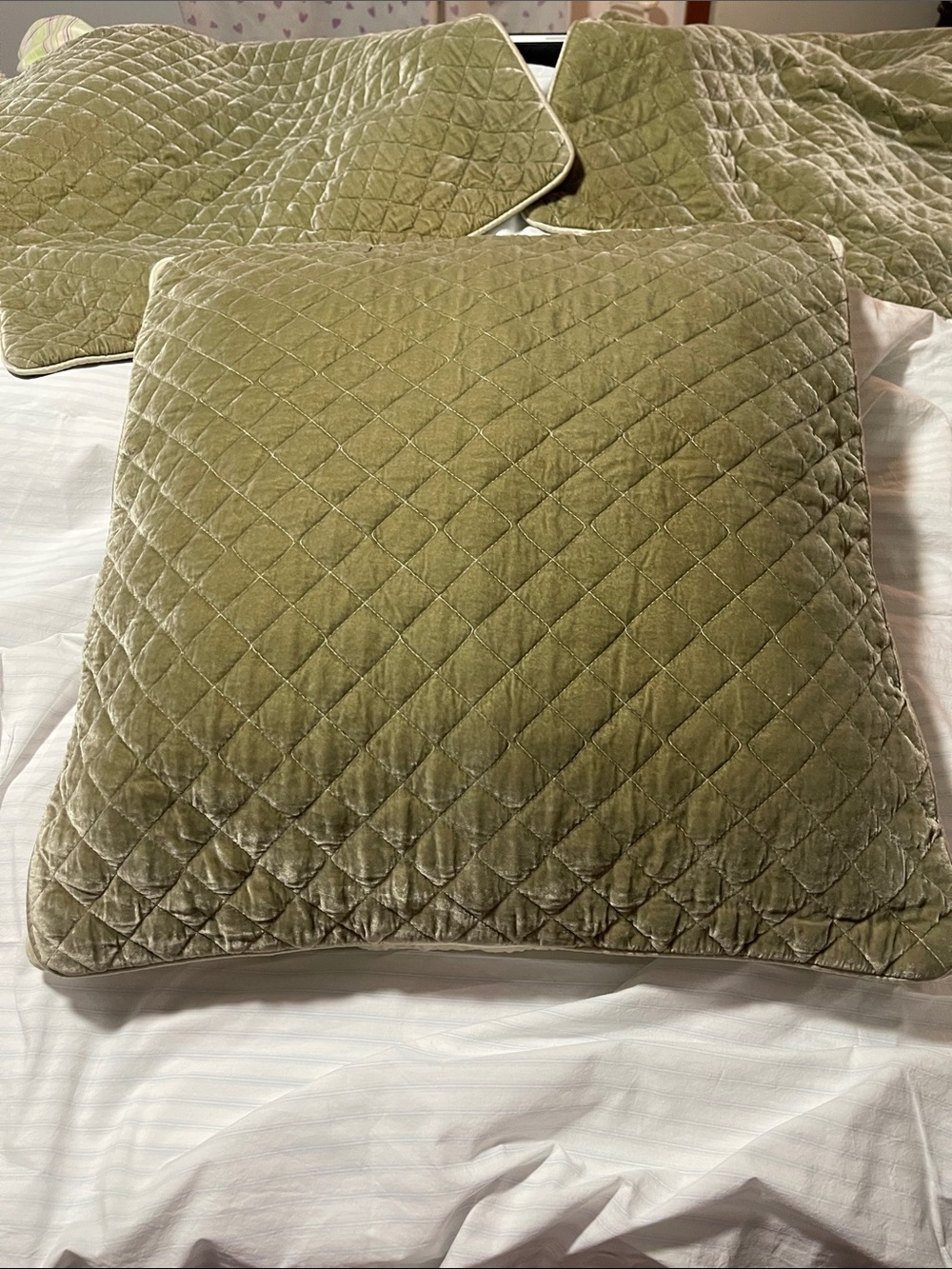 NWOT BELLA NOTTE silk and quilted velvet EURO SHAMS SAND